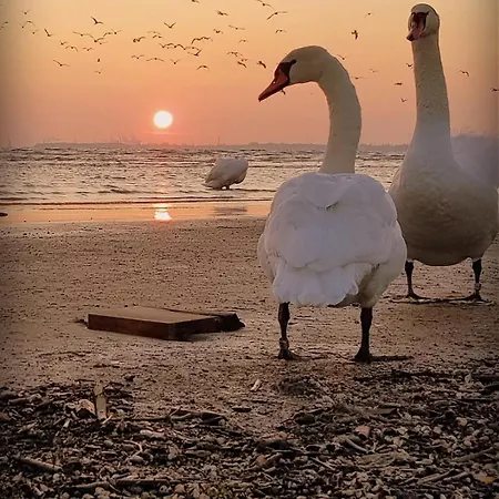 Letniskowe Wakacyjna Gaska Masztowa 38 Feriehus Gąski